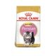 Royal canin persian kitten 1.36 kg original sellado + pelota spiny caucho